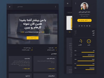Portfolio - رزومه